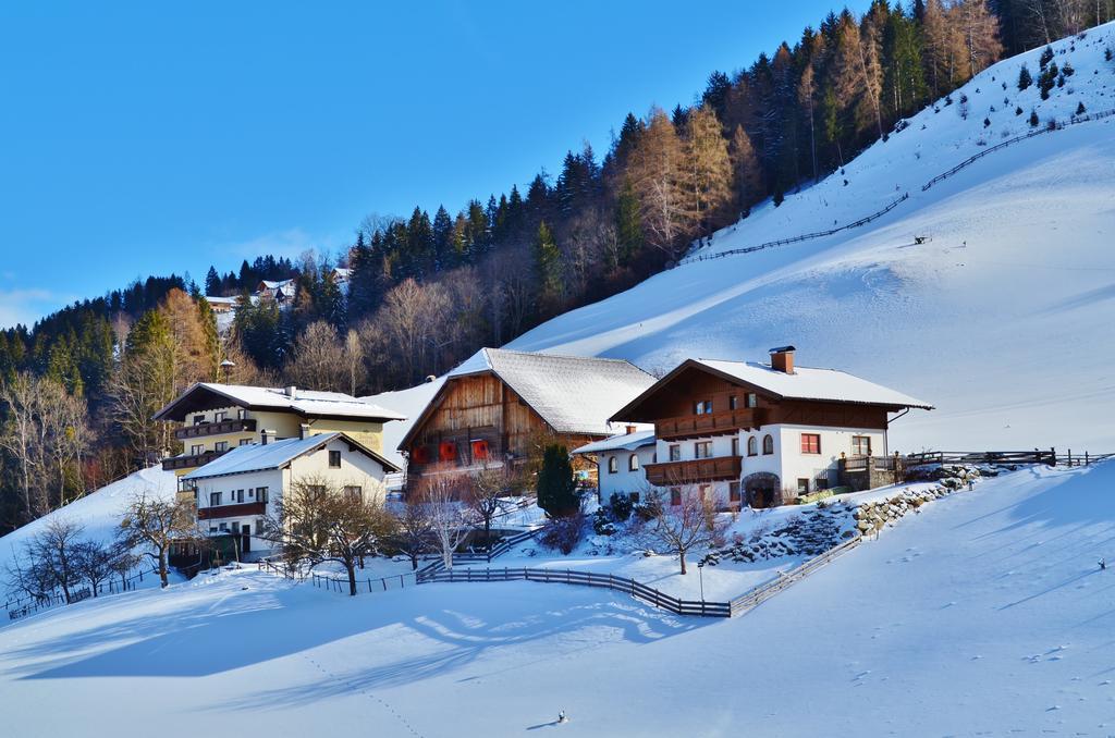 Pension Spreitzhof & Appartement Royer Schladming Exterior foto