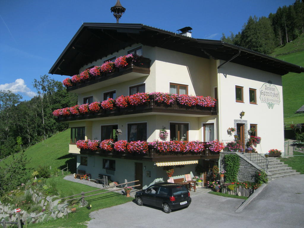 Pension Spreitzhof & Appartement Royer Schladming Exterior foto
