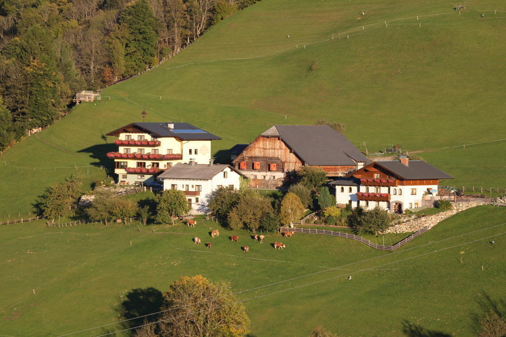 Pension Spreitzhof & Appartement Royer Schladming Exterior foto