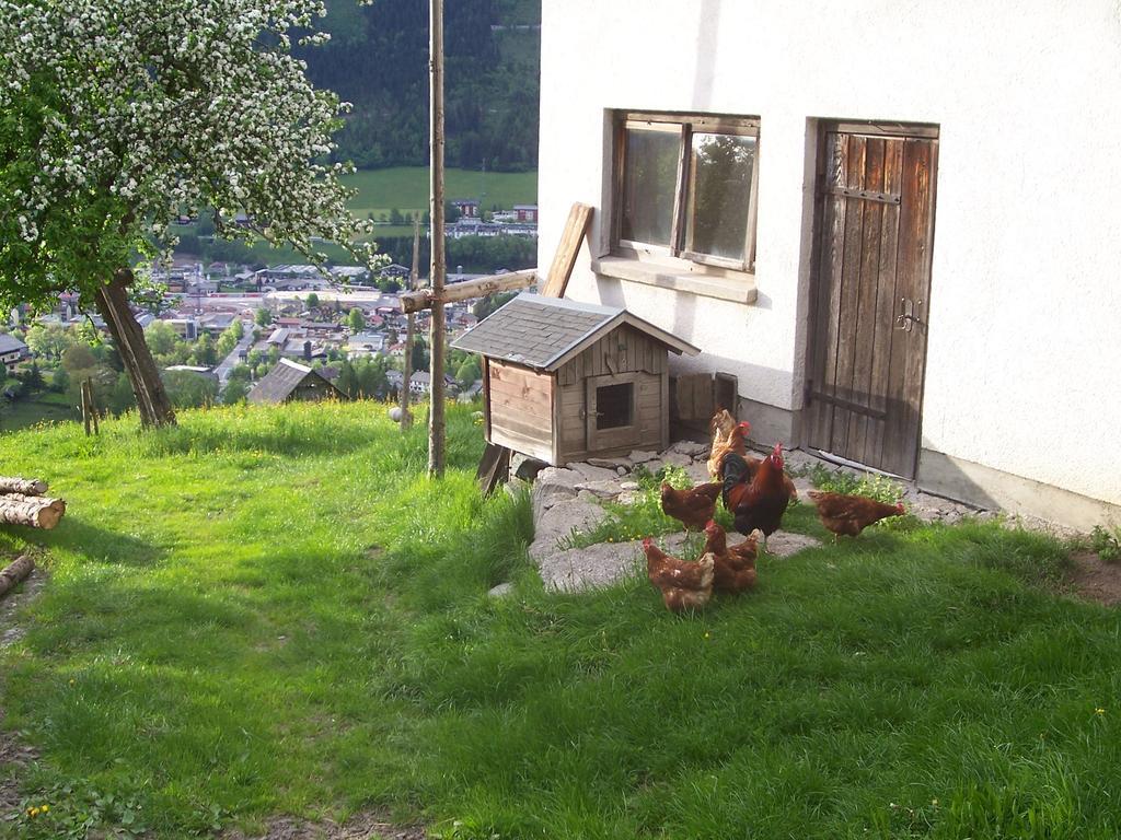 Pension Spreitzhof & Appartement Royer Schladming Exterior foto