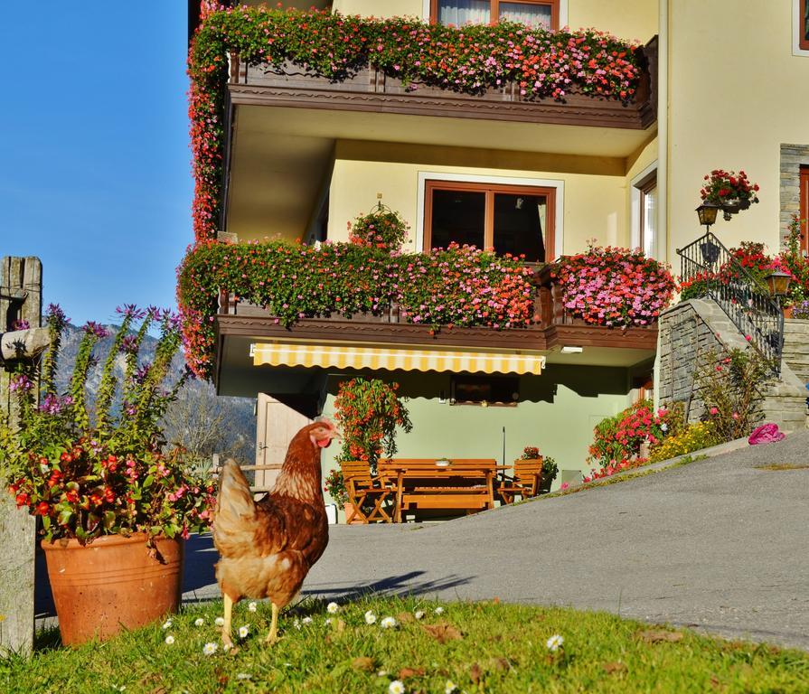 Pension Spreitzhof & Appartement Royer Schladming Exterior foto